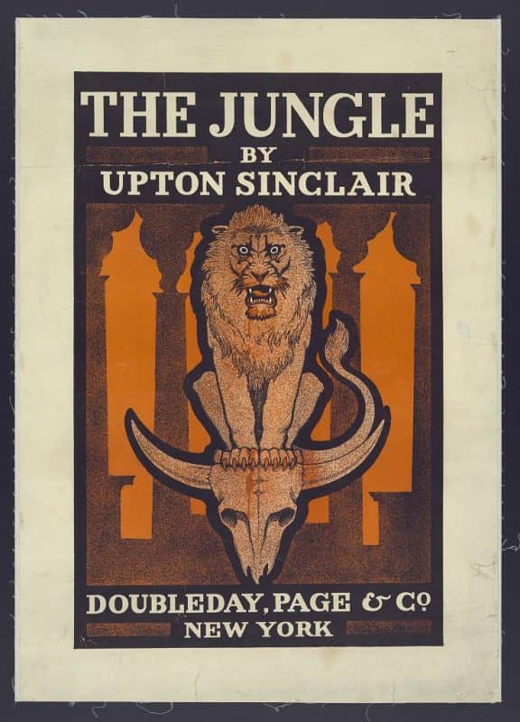 The Jungle