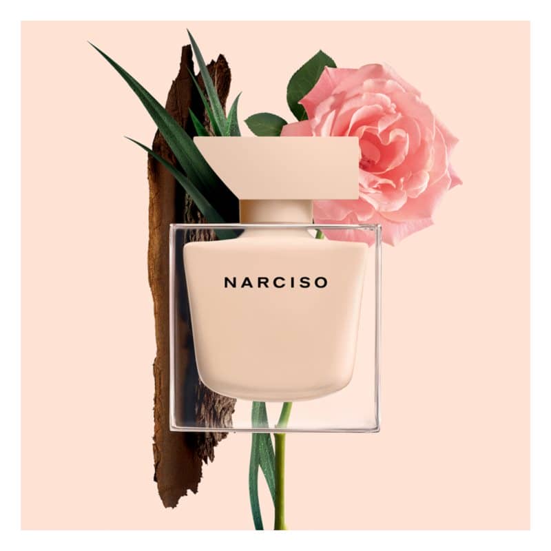 narcisco