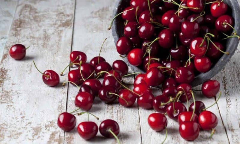 cherries