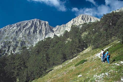 βουνό