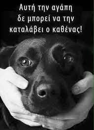 σκυλιά