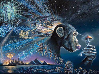 The Stoned Ape Theory Πηγή:Flickr