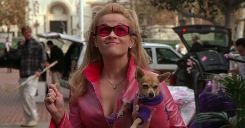 Legally Blonde Elle