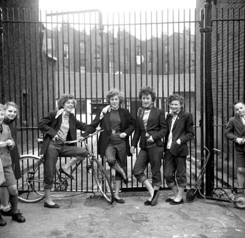 teddy girls