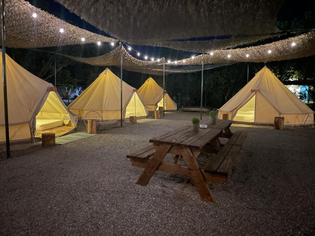 Camping 
