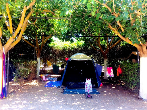 Camping
