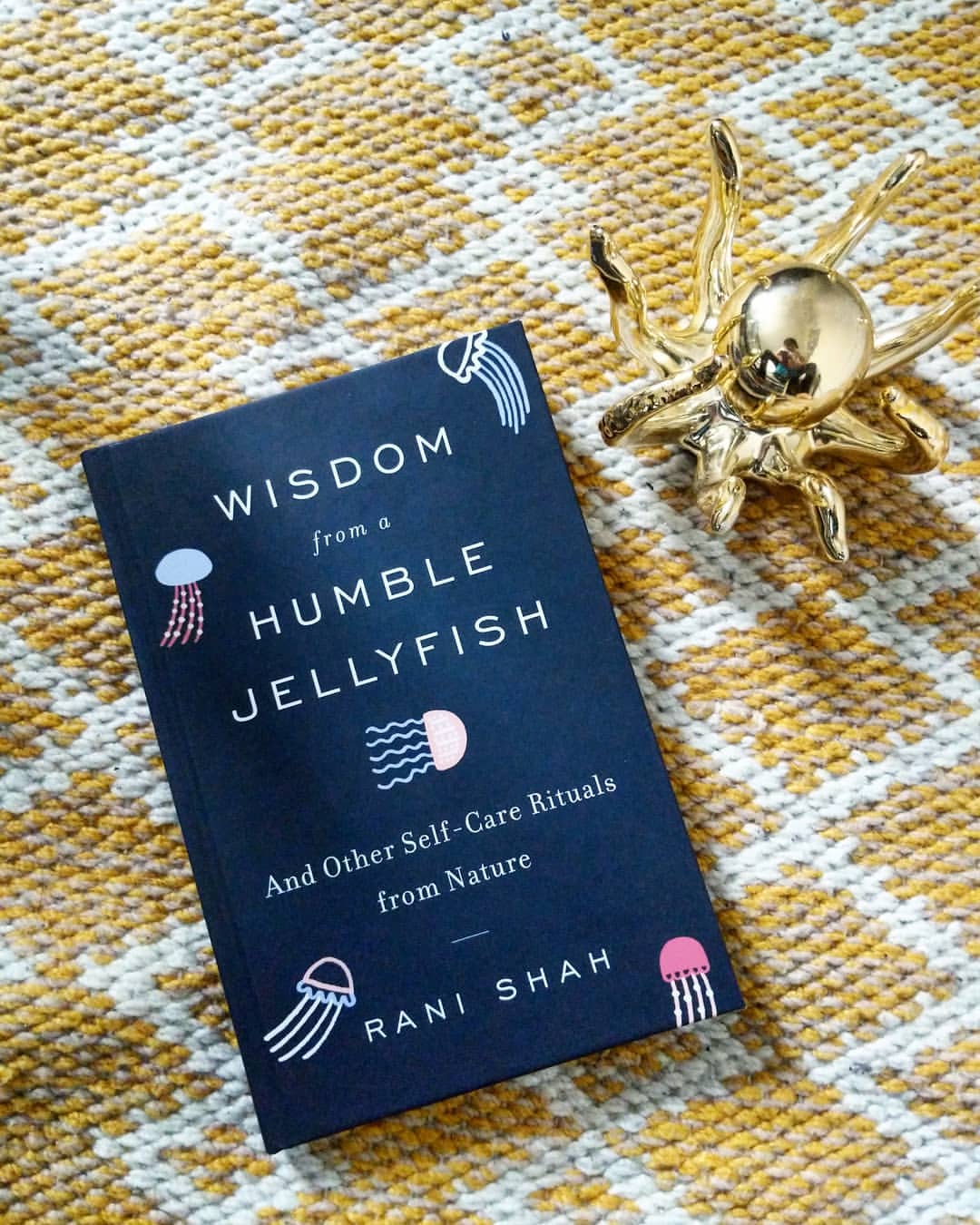 Wisdom from a humble jellyfish