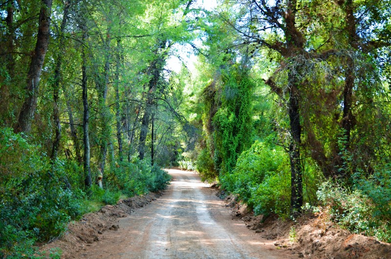 Κασσάνδρα, προορισμός