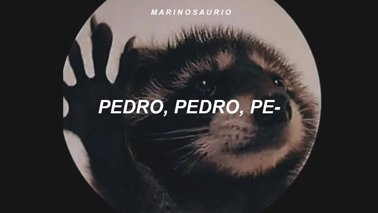 Pedro