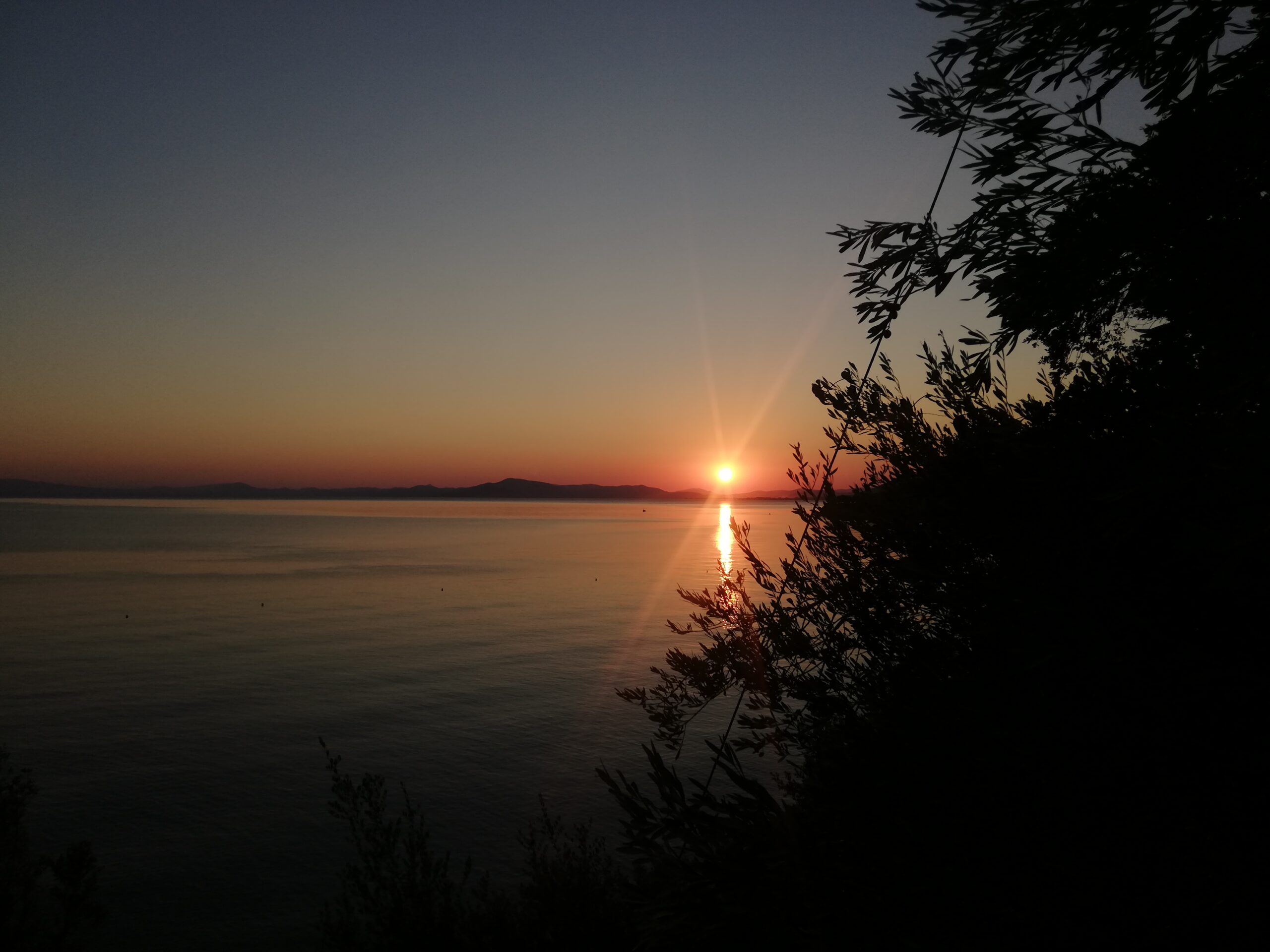 Άφησσο