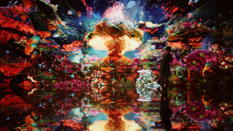 Dataland