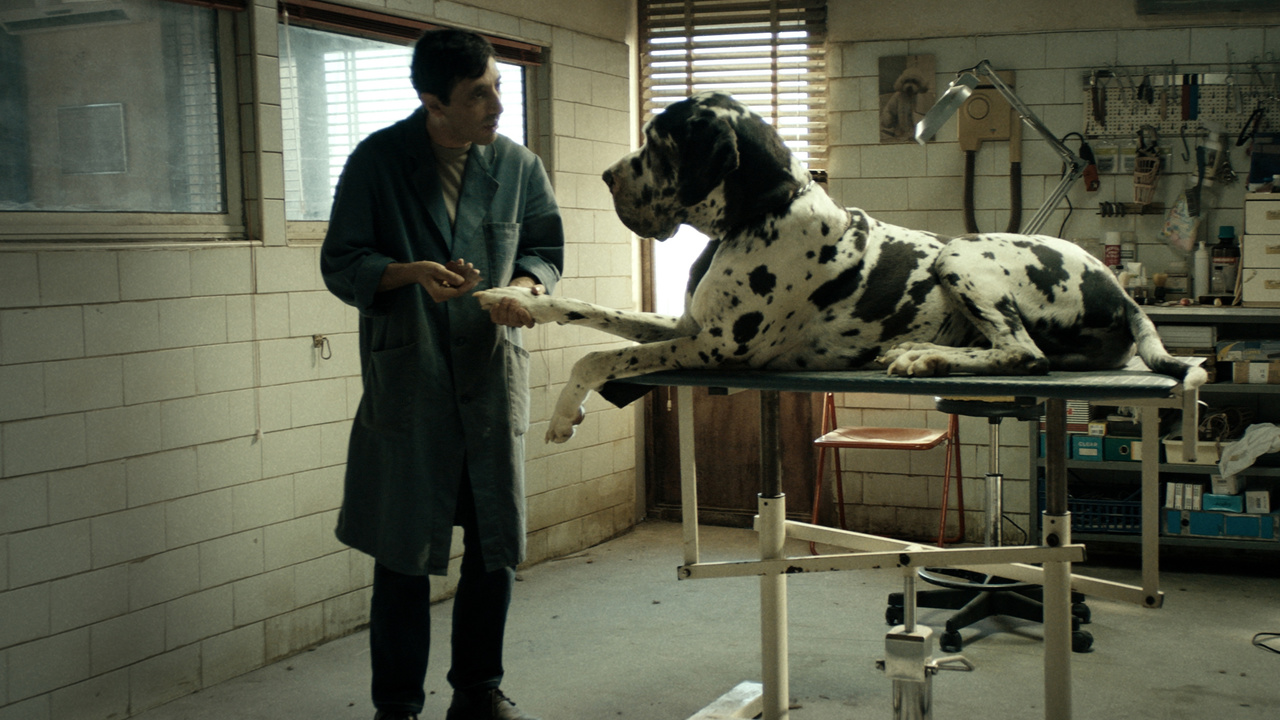 Dogman