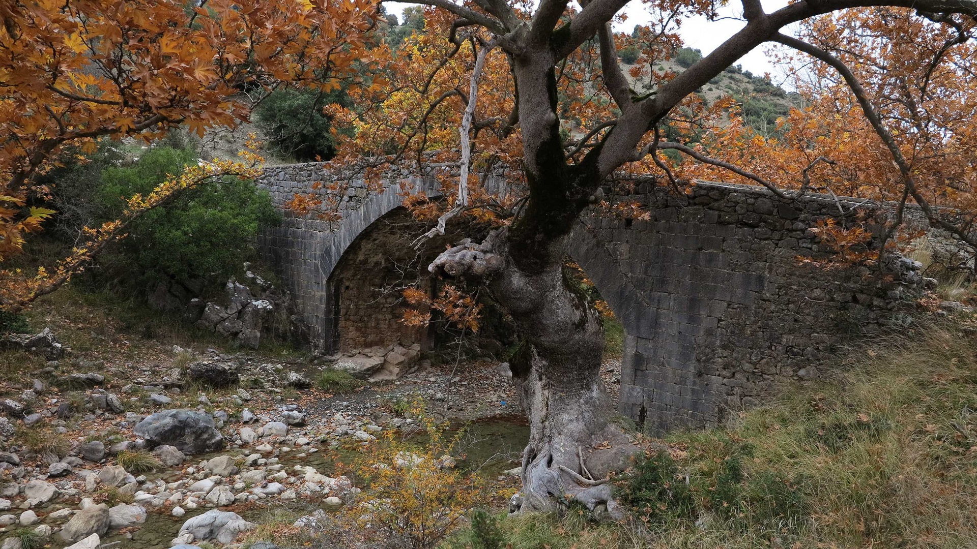 [Κοντινοί προορισμοί Menalon Trail Στεμνίτσας]