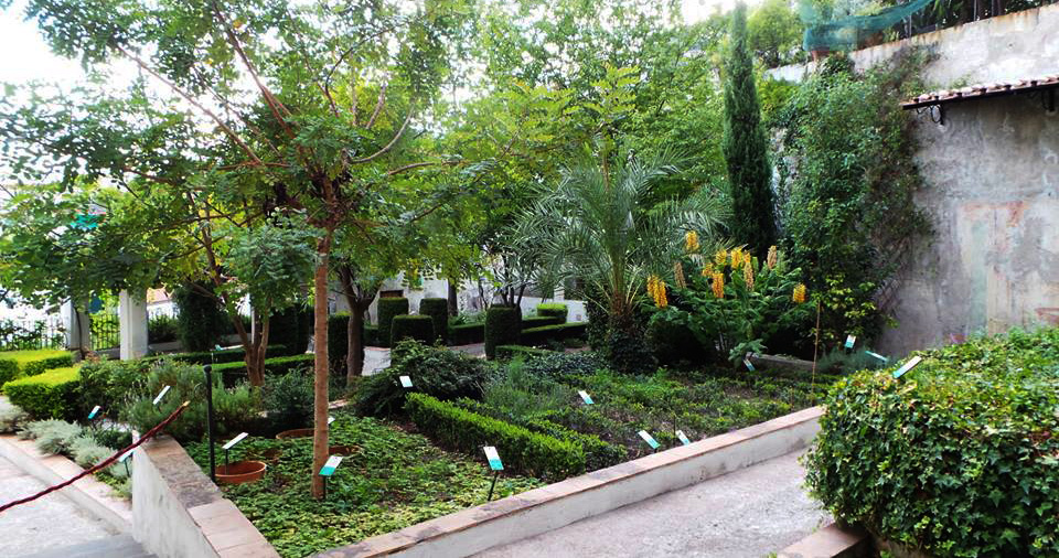 [Σαλέρνο Giardino della Minerva]