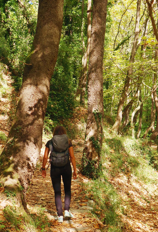 [Διακοπές για backpackers στην Ελλάδα Πήλιο]