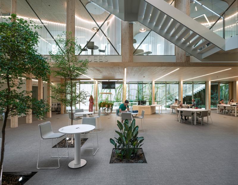 SUMA Arquitectura