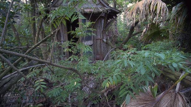 Discovery Island