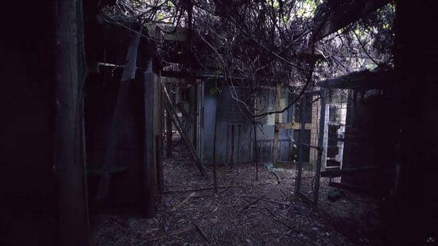 Discovery Island