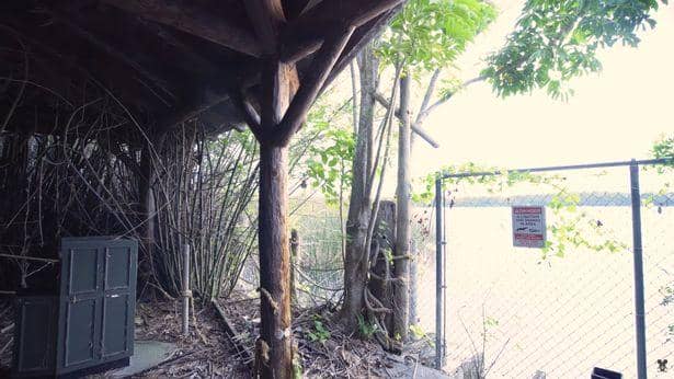 Discovery Island