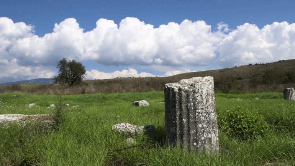 Ροδοτόπι