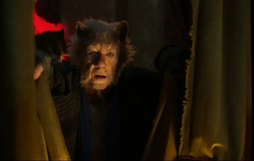Cats