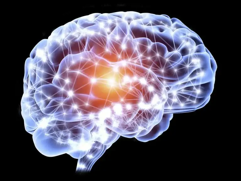 Πηγή εικόνας: https://www.verywellmind.com