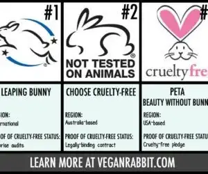 cruelty free beauty