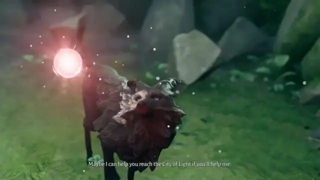 lost ember