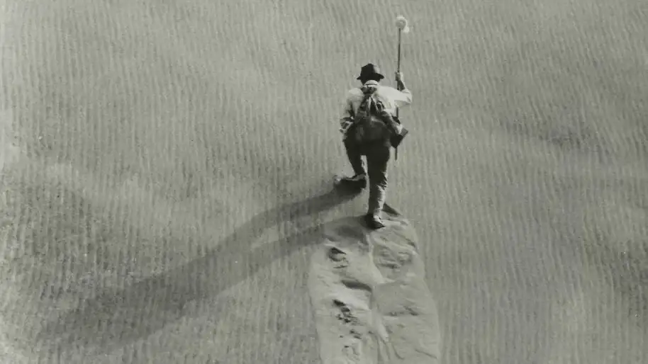 Woman In The Dunes