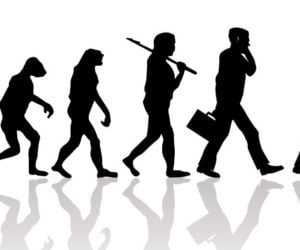 Ανθρώπινη προϊστορία: Πώς το γένος Ηomo έφτασε στο σήμερα