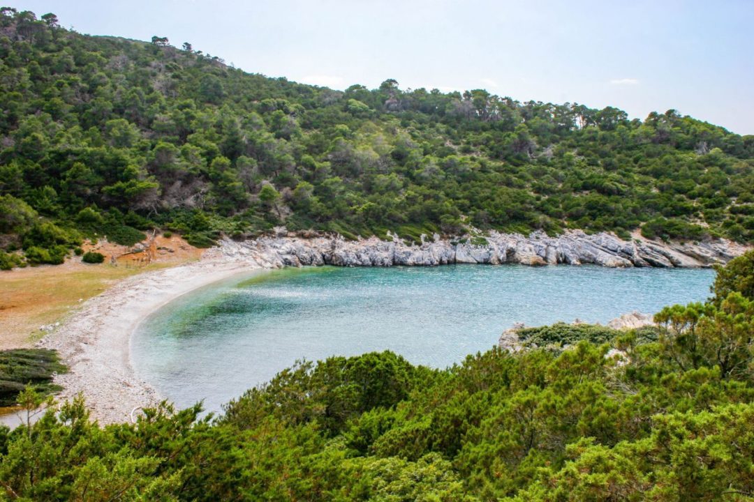 Ατσίτσα, Σποράδες