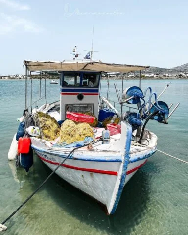 Δημήτρης Μαρινόπουλος