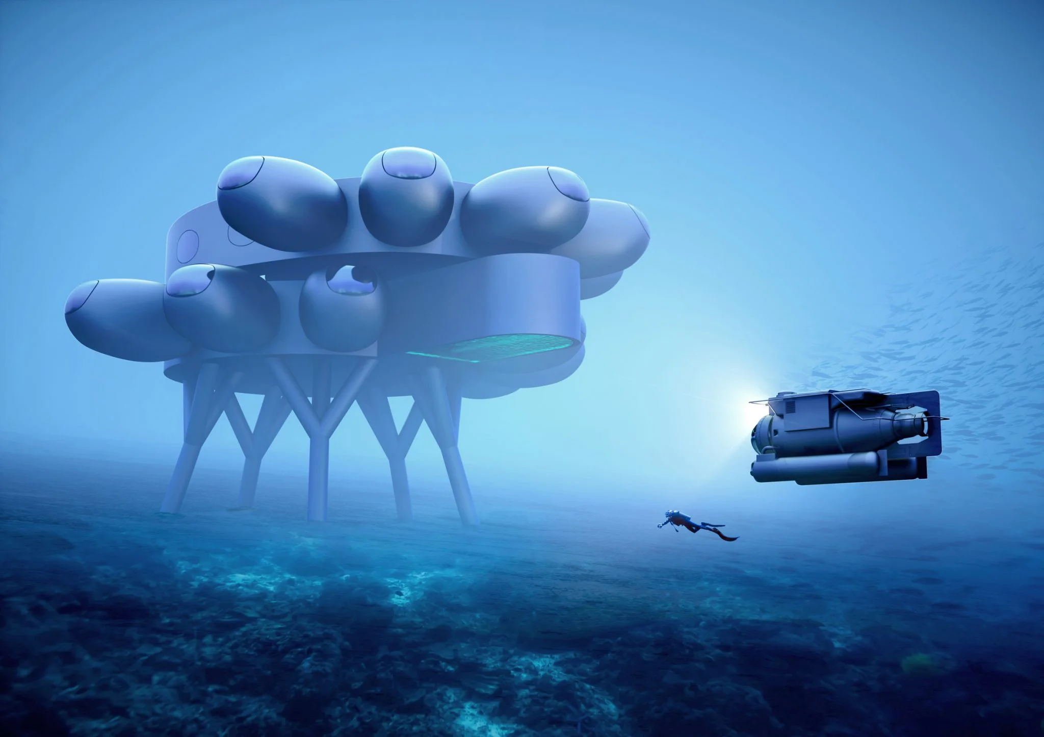 Proteus
