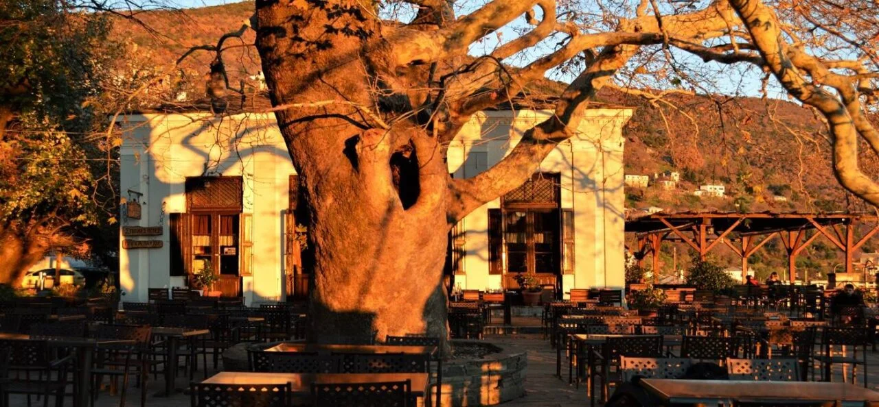 Μακρινίτσα, το μπαλκόνι του Πηλίου