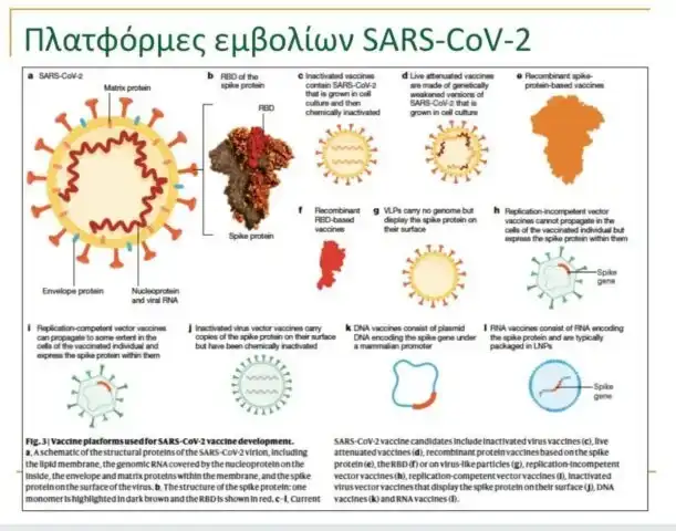 Covid19 vaccine