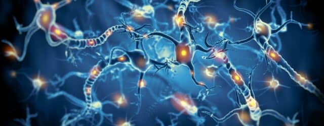 Σκλήρυνση κατά πλάκας: τι γίνεται μέσα στο σώμα; Εικόνα νευρώνων