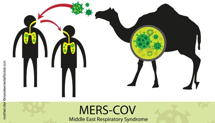 MERS