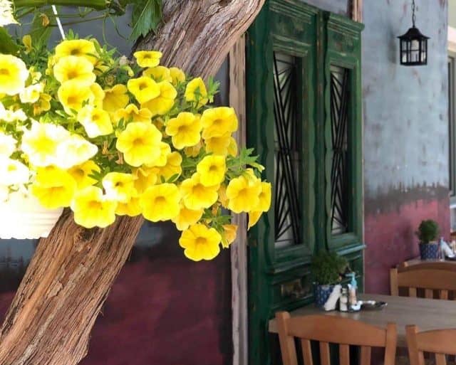 Ταβέρνες στην Πτολεμαΐδα - Κανελόριζα