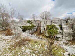 Πέτρινο Δάσος: Η ζωγραφιά της φύσης στα Ζαγοροχώρια