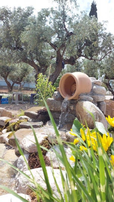 Τεχνητή λίμνη - Κήπος Άνθεια | Πηγή: Εθελοντική Ομάδα Έθεξις