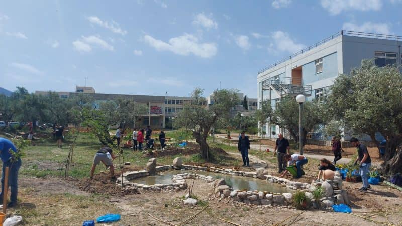 Κήπος Άνθεια - Πανεπιστήμιο Πατρών - Τμήμα Χημικών Μηχανικών | Πηγή: Ομάδα Έθεξις