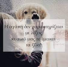 σκυλιά