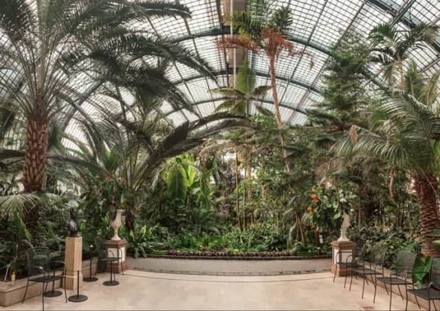 Κήπος Palmengarten Φρανκφούρτη