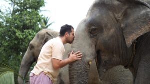 Ελέφαντες εναντίον ανθρώπων: Η κατάσταση στην Μποτσουάνα