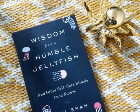 Wisdom from a humble jellyfish