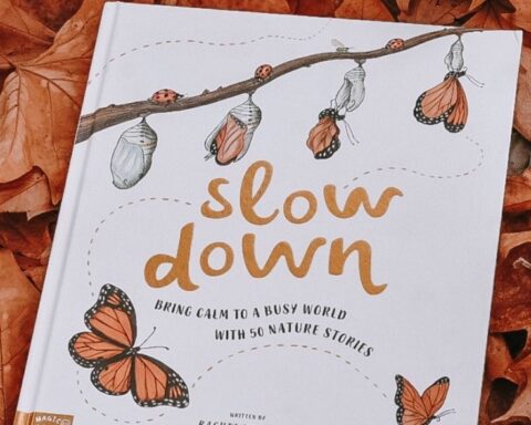 Slow Down