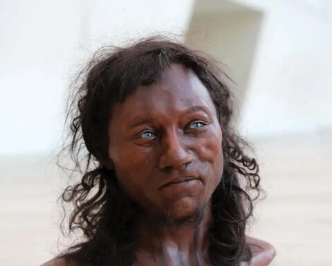 Cheddar Man: Τα απίστευτα δεδομένα του DNA