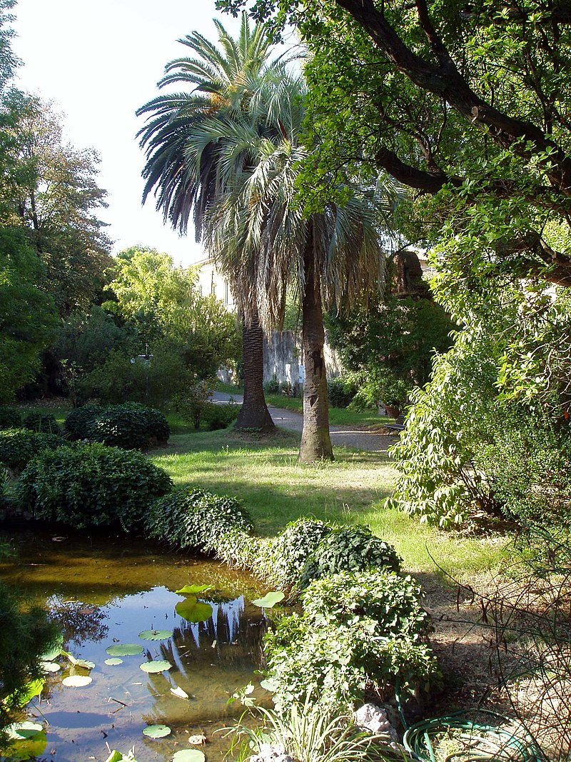 [Πίζα Orto botanico di Pisa]