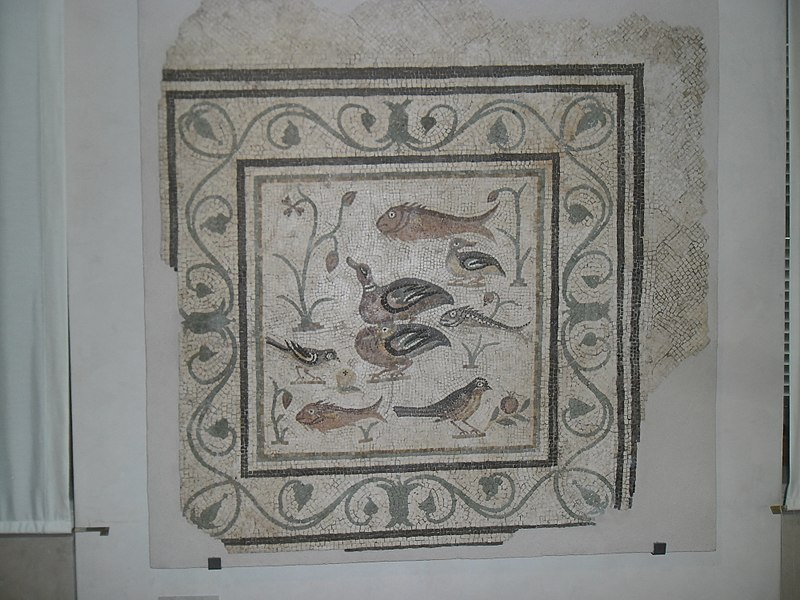 [Ανκόνα National Archaeological Museum of the Marches]