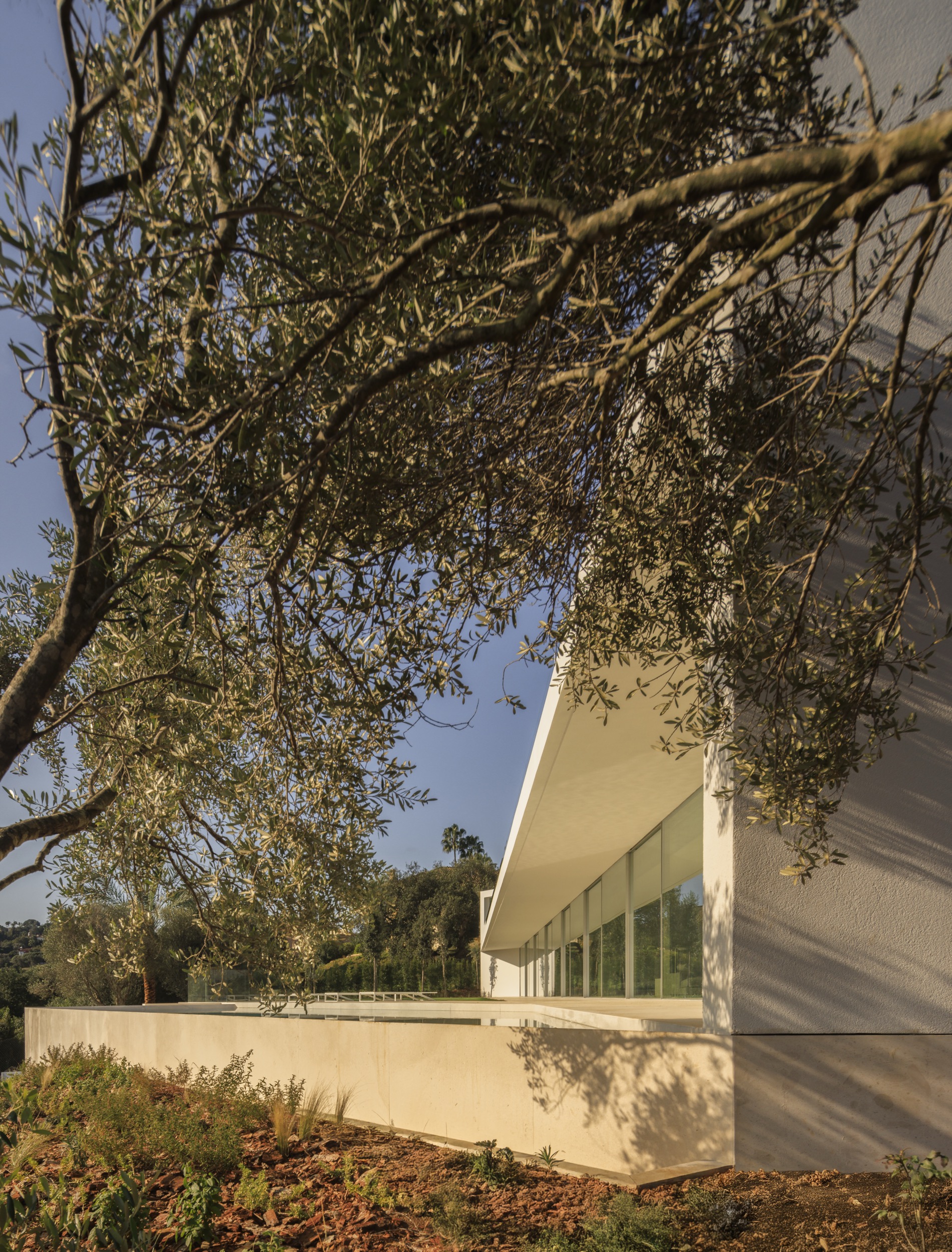 Fran Silvestre Arquitectos
